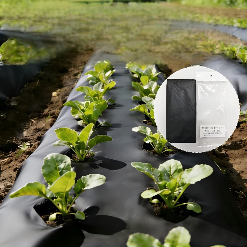 Biodegradable Mulch Paper For Vegetable price
