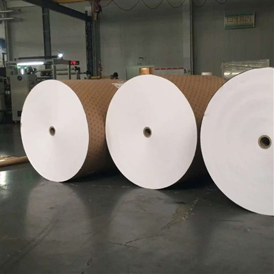 Nutrient-based Degradable Mulch Paper for Tomato